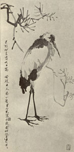 image 25