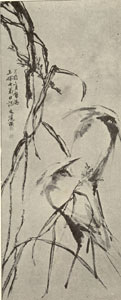 image 27