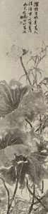 image 28