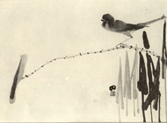 image 36